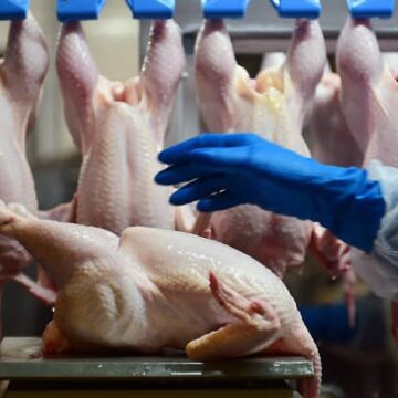 Новые возможности для птицеводов: Молдова расширяет поставки мяса в Евросоюз