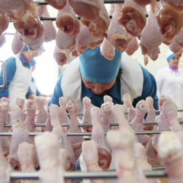 Кишинёв и Киев уладили «куриный спор»: импорт мяса птицы из Украины возобновляется