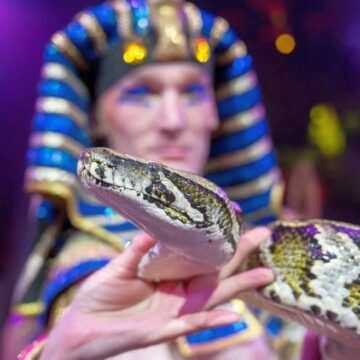 22-12-25-2 Шоу змей в Египте закончилось трагедией