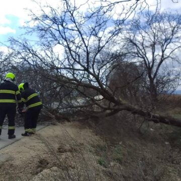 Последствия шквалистого ветра в Молдове: спасатели ГИЧС расчищают дороги в Кишинэу и районах