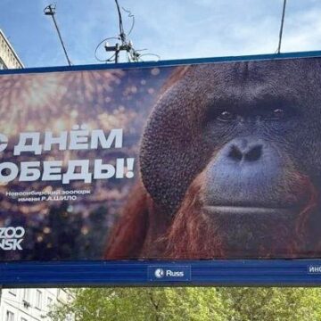 Проверка из-за орангутана: в Новосибирске раскритиковали баннер ко Дню Победы