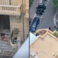 Взрыв в Монако: продолжается масштабная операция по поиску преступника, пострадал украинский олигарх Вадим Ермолаев