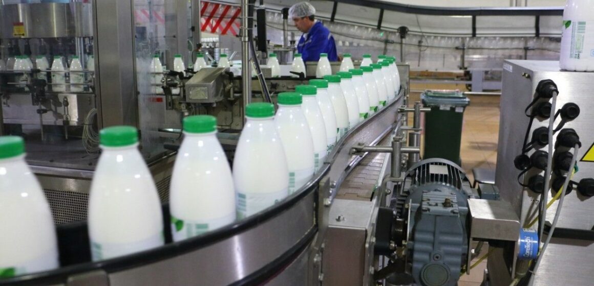 До 60% молочной продукции в Молдове — импорт: отрасль теряет позиции