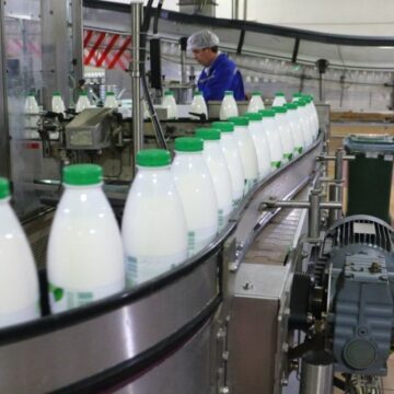 До 60% молочной продукции в Молдове — импорт: отрасль теряет позиции